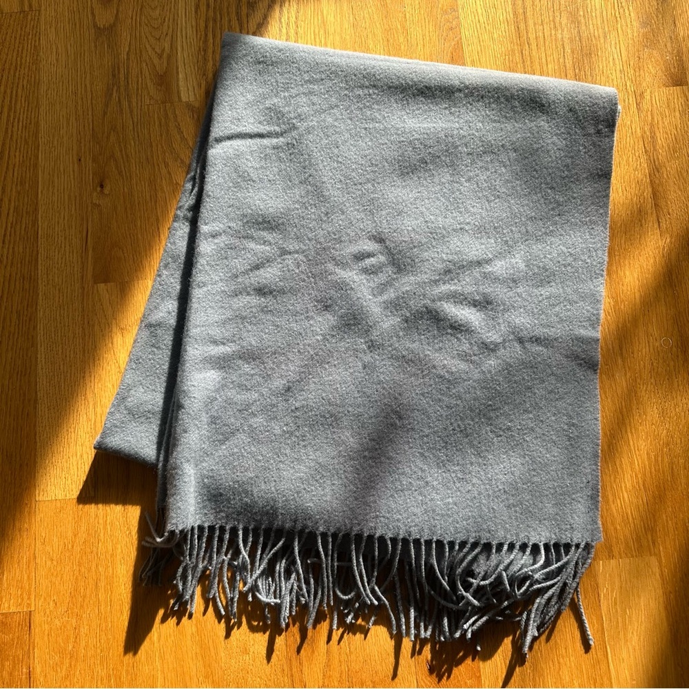 Aritzia Light Blue Wool Scarf with Fringe